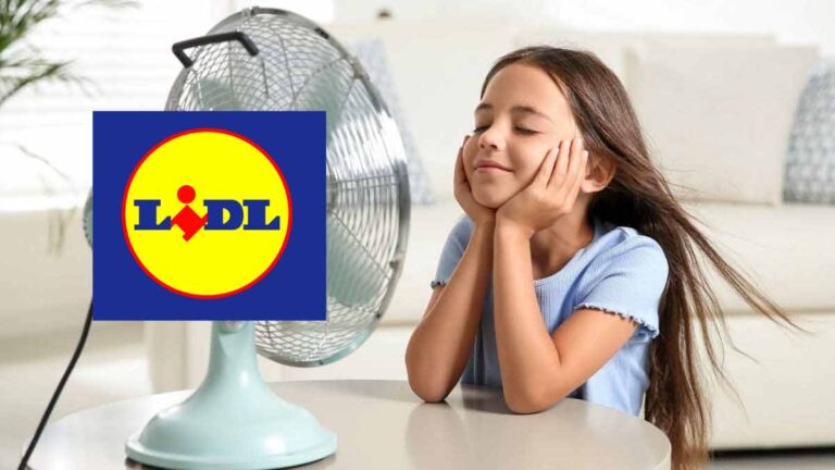 lidl-vous-devoile-un-ventilateur-qui-cartonne-enormement-pour-cet-ete