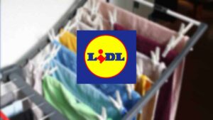 lidl-vous-propose-un-produit-revolutionnaire-un-mini-four-portable-avec-un-prix-surprenant